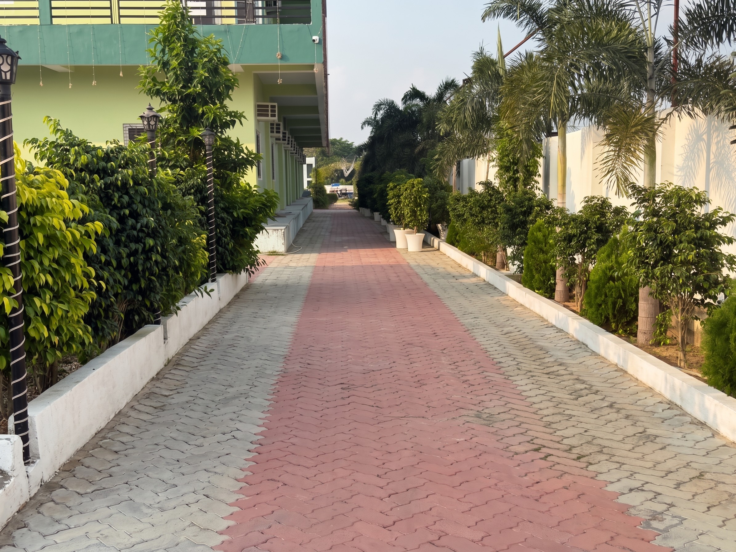 Paved garden walkway with palm trees